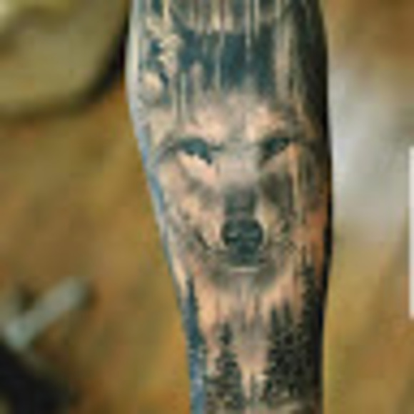 Meet your Posher, Alex - Picture 1 of 1